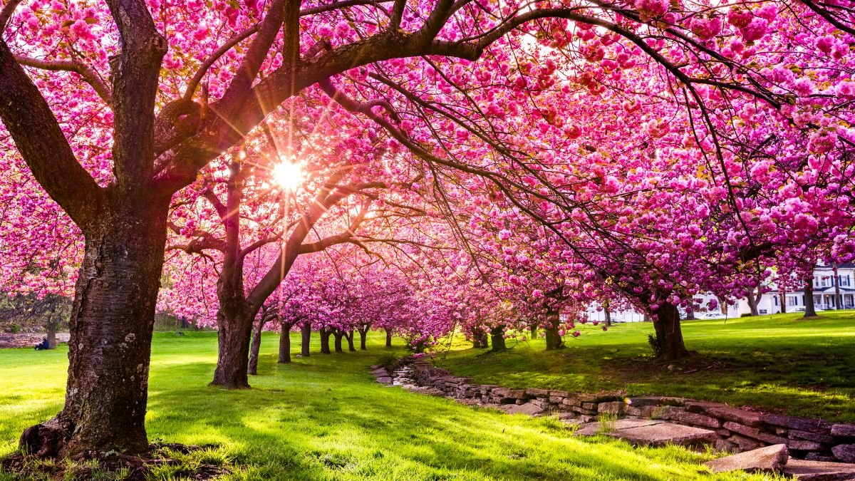 Spring is the Season of Hope - Carrot Stick Sports