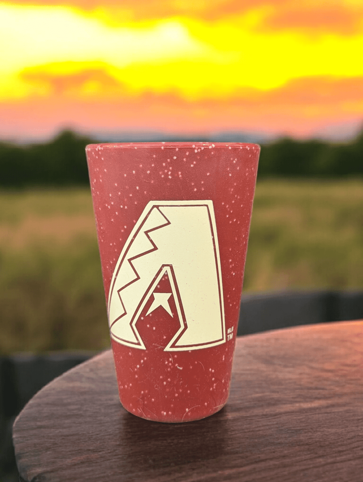 Arizona Diamondbacks Silicone Pint Glass Pint Glass - Available at Carrot Stick Sports