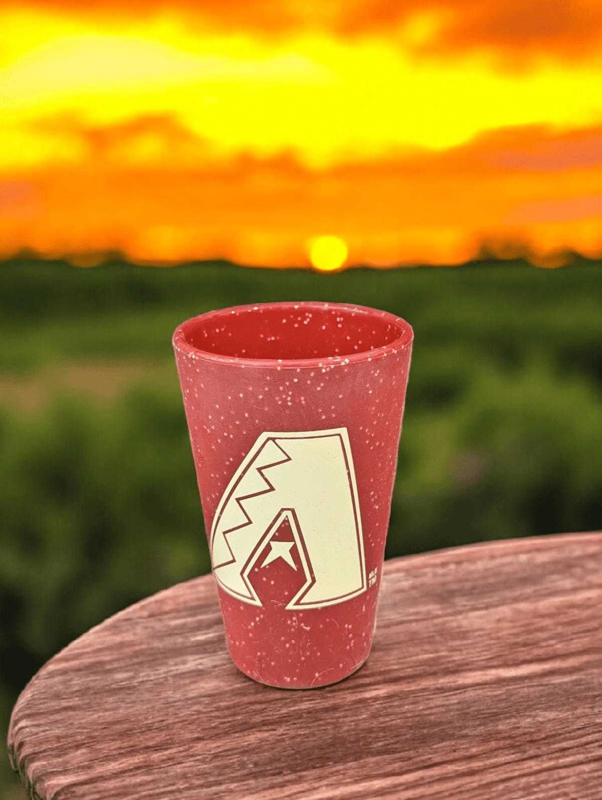 Arizona Diamondbacks Silicone Pint Glass Pint Glass - Available at Carrot Stick Sports