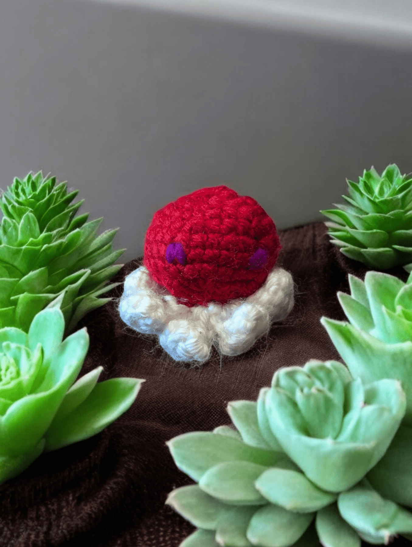 Hand Made Crochet Octopus Toys - Available at Carrot Stick Sports