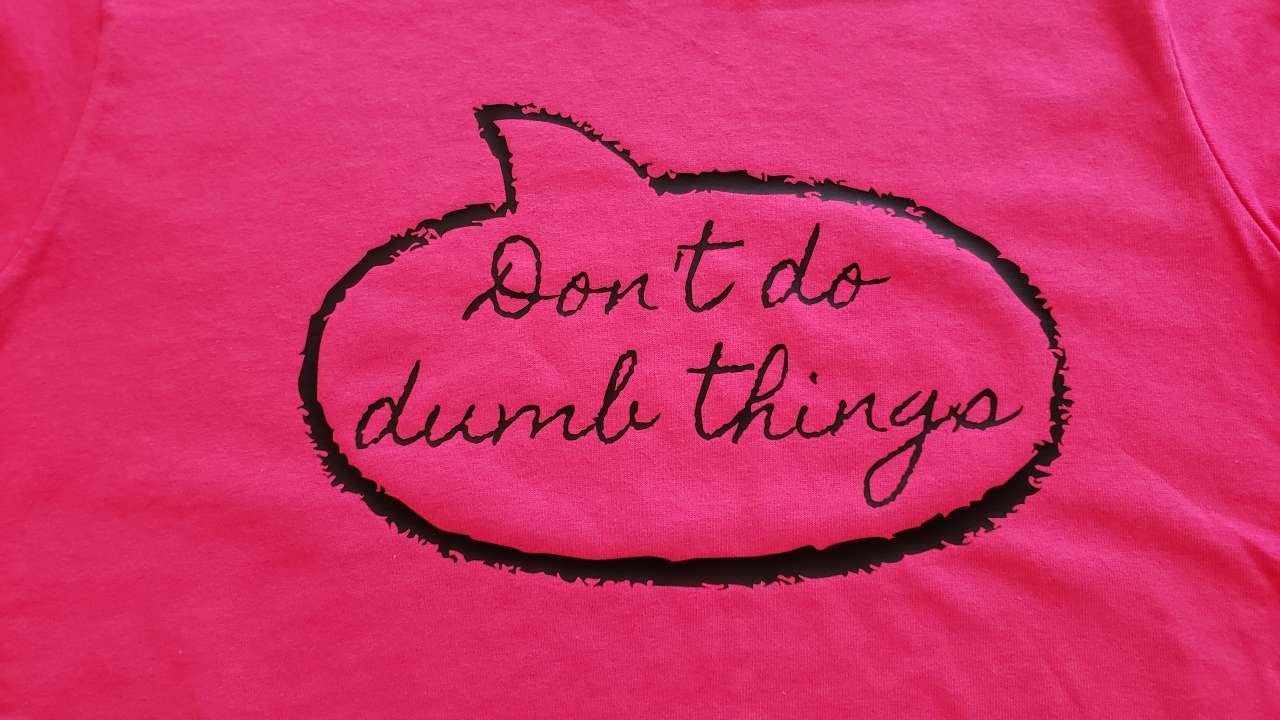 Don't Do Dumb Things T-Shirt Shirts & Tops - Available at Carrot Stick Sports