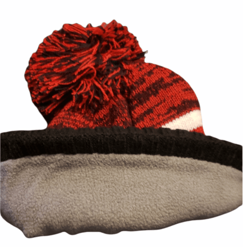 Red Wings Detroit Red and Black Winter Hat with Pom Hat - Available at Carrot Stick Sports