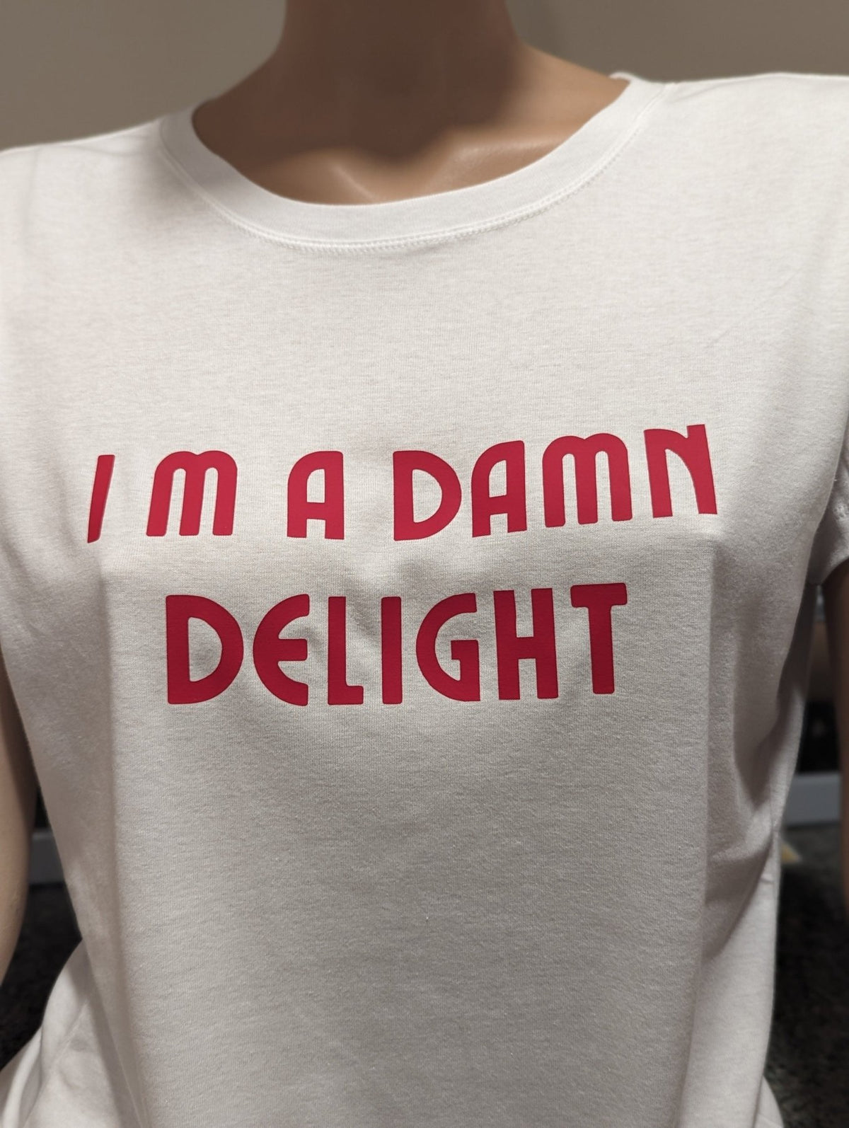 I'm A Damn Delight T-shirt - Available at Carrot Stick Sports