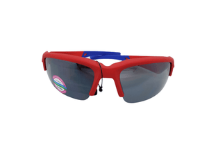 Detroit Pistons Sunglasses Sunglasses - Available at Carrot Stick Sports