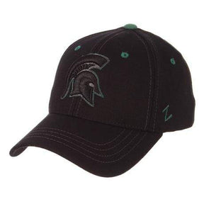 Michigan State Spartans Black Flexfit Hat with Green Accents Hat - Available at Carrot Stick Sports